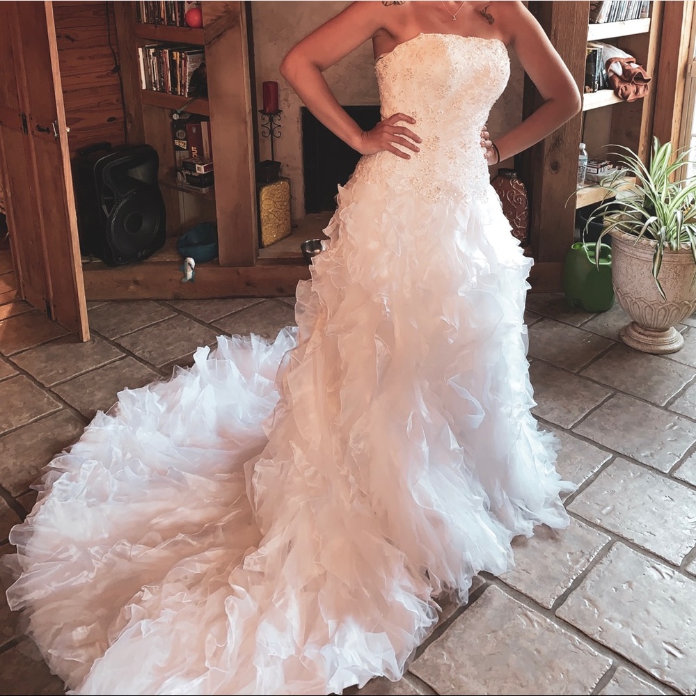 Monique Luo David’s Bridal Dress